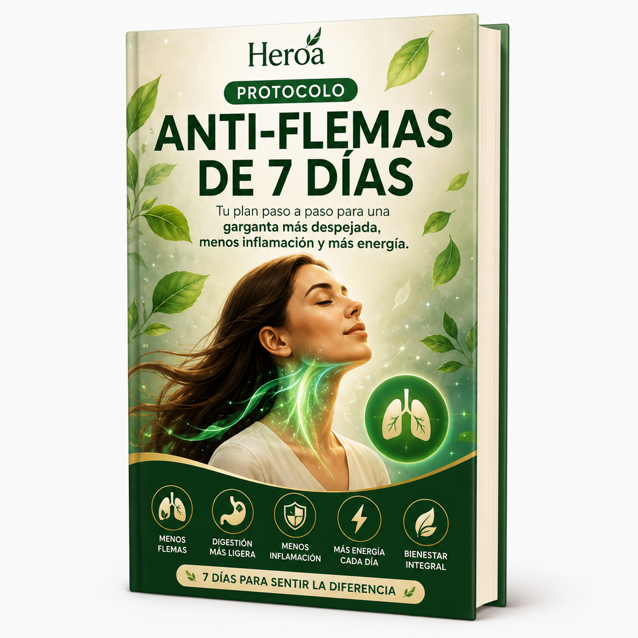 Protocolo Anti-Flemas de 7 Días - Ebook